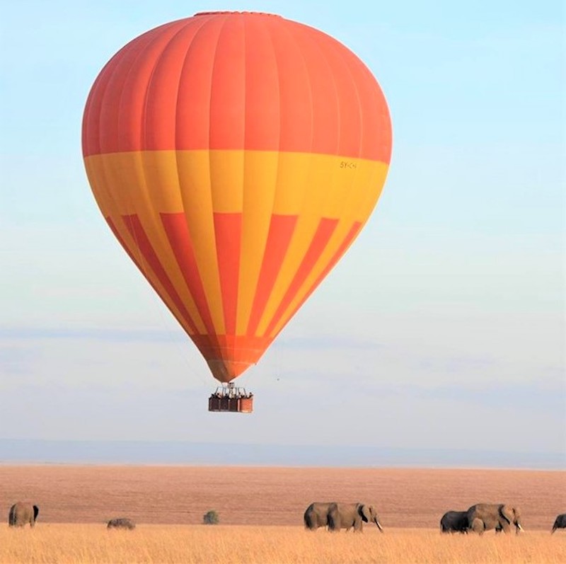 Balloon safari in the Maasai Mara