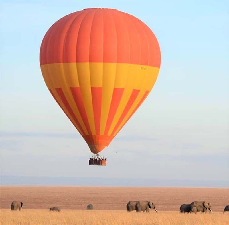 Ballon safari over the Mara and elephants