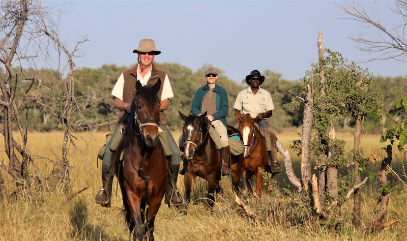 David Foot on horseback safari
