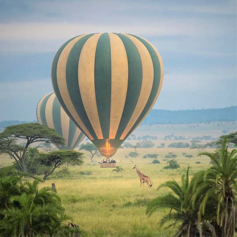 Balloon safari in the Serengeti