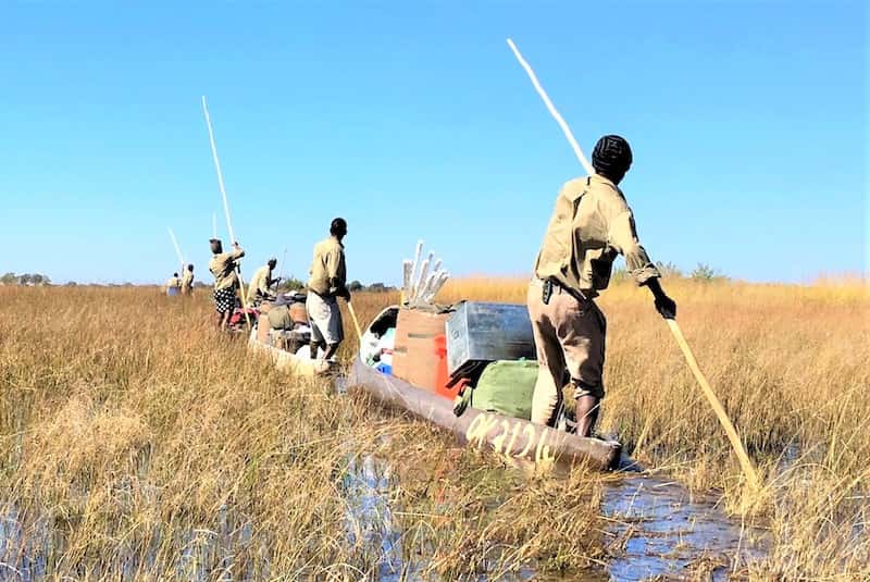 Transporting the camp through the delta on mekoro