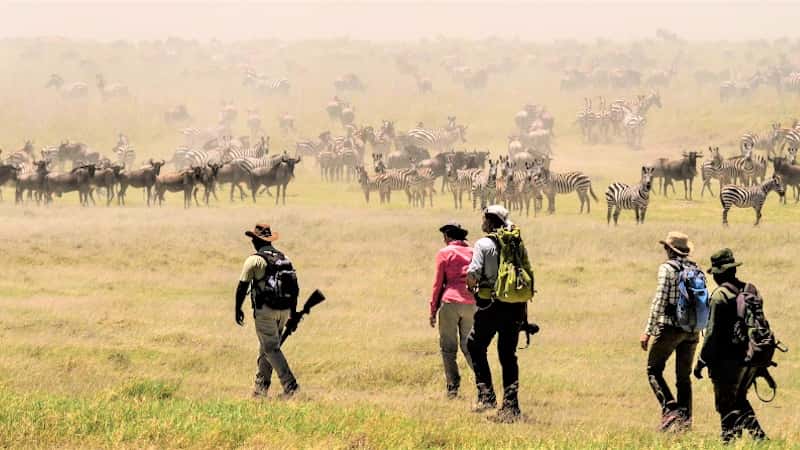 Walking safari on the Serengeti